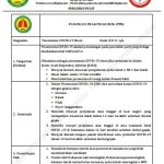 ppk pneumonia covid 19 berat cover